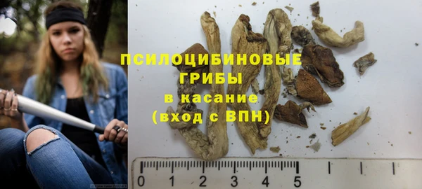 гашик Россошь